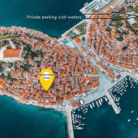 Studio Yellow Flower Rovinj Eksteriør bilde