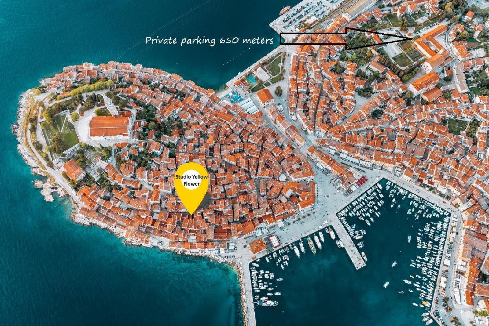 Studio Yellow Flower Rovinj Eksteriør bilde