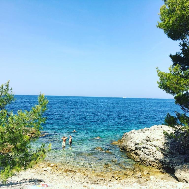 Studio Yellow Flower Rovinj Rom bilde