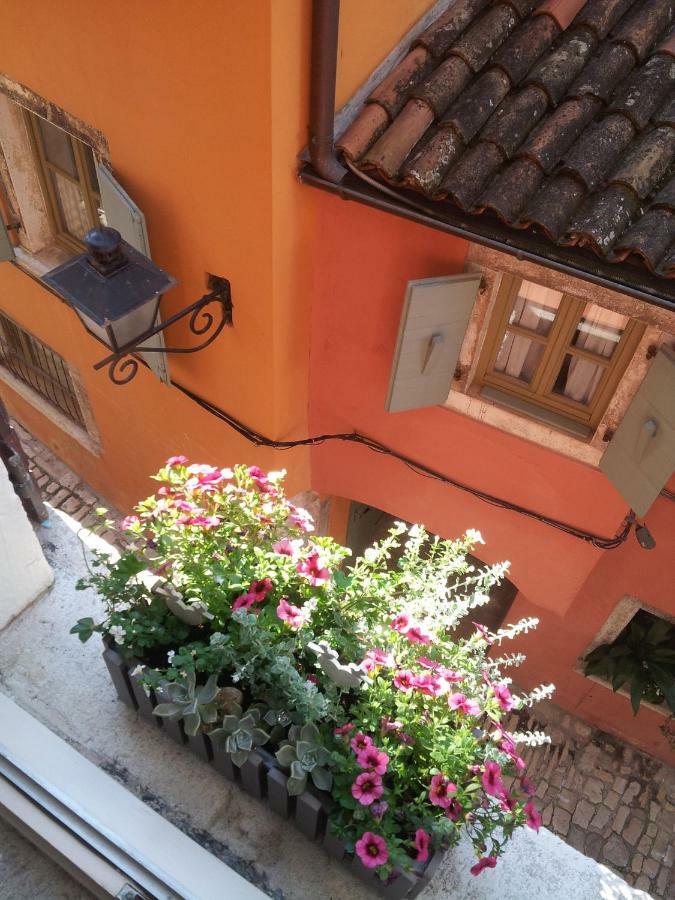 Studio Yellow Flower Rovinj Eksteriør bilde